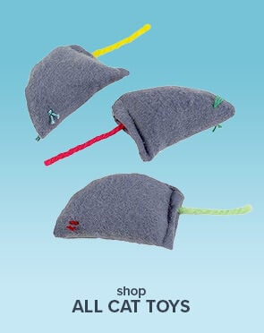 All Cat Toys